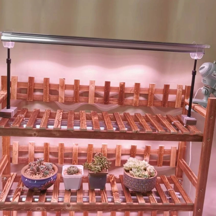 多肉植物补光灯支架高度调节上色防徒长
