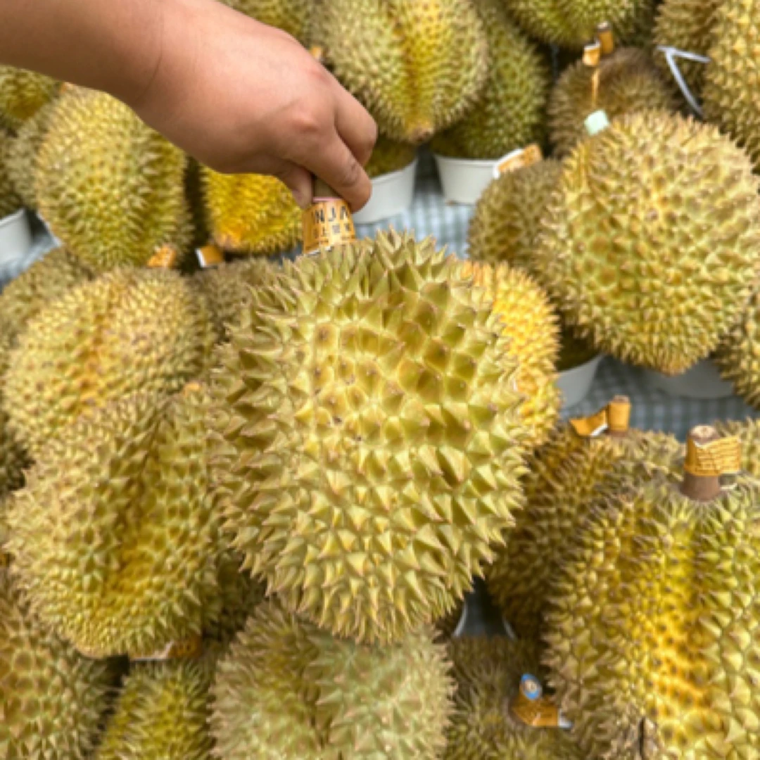 泰国金枕鲜榴莲一个核小核3-6斤(一物一拍)榴莲同城配金枕泰国东部