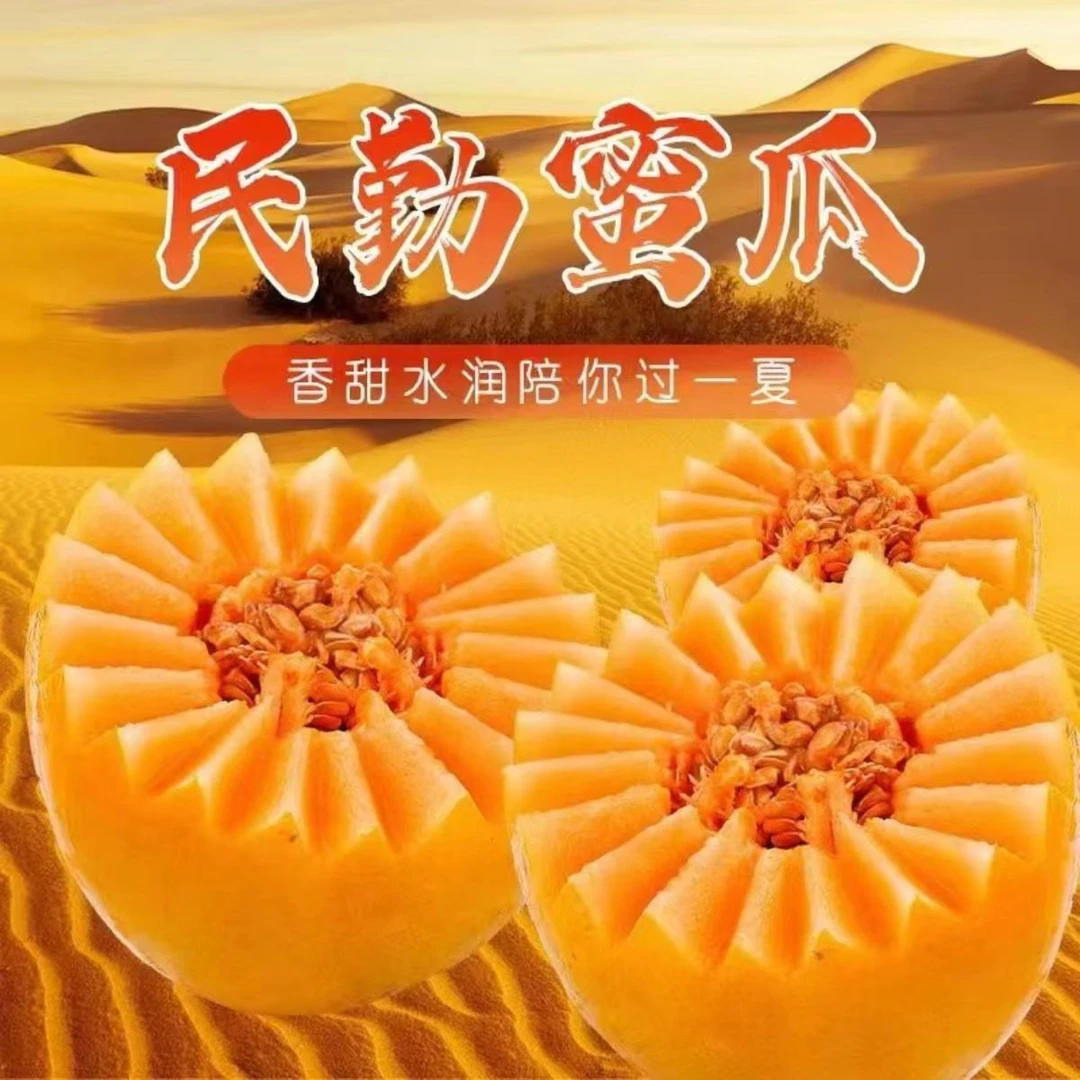 正宗民勤沙漠蜜瓜现摘现发甜瓜香瓜哈密瓜脆甜多汁新鲜水果包邮