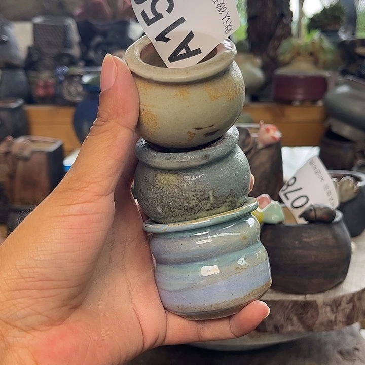重庆小燕子欢迎大家150