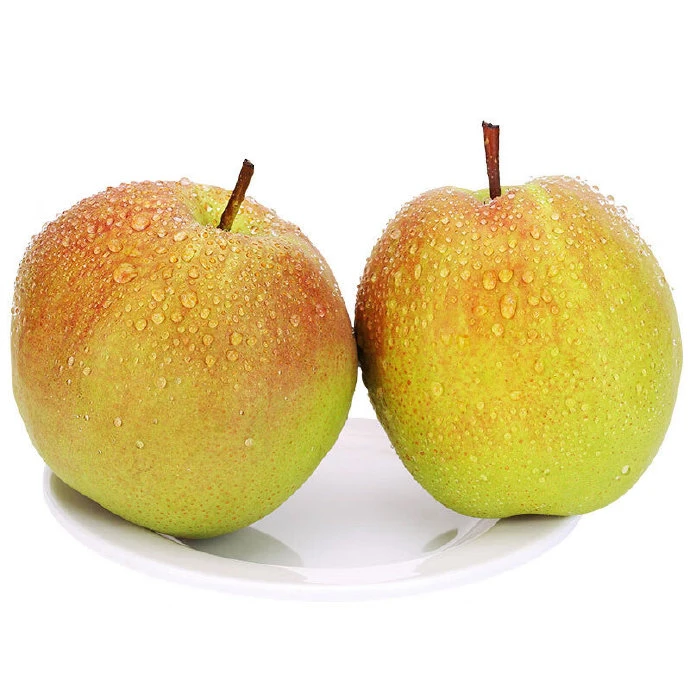 果瑞浓2025特惠龙居玉露香梨500g