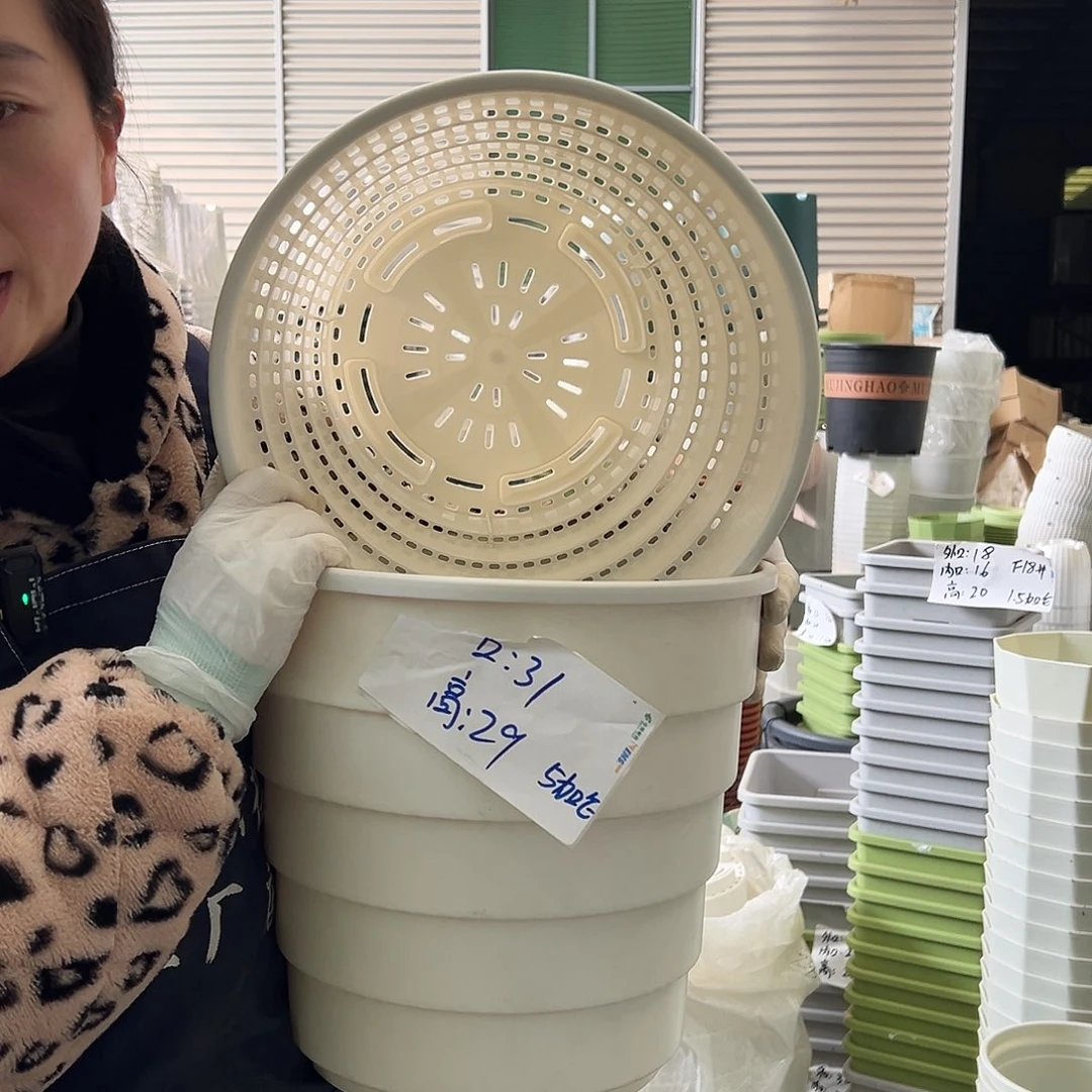 多孔盆5#白色3个无托