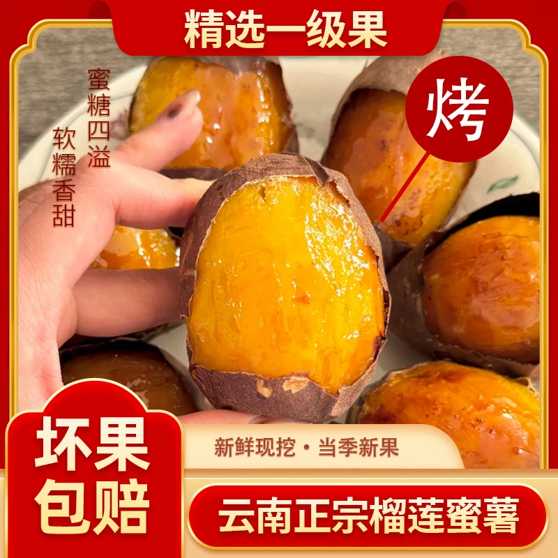 【正宗榴莲蜜薯】云南高山红瑶新鲜黄金丝滑沙地香甜软糯红沙土番薯