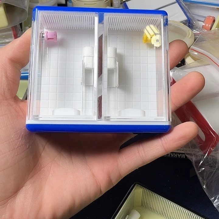 蟋蟀单独盒子哈哈哈哈哈哈