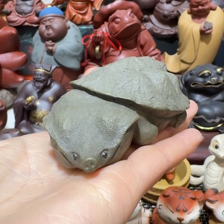 紫砂茶宠志**得哈哈哈哈哈哈哈哈