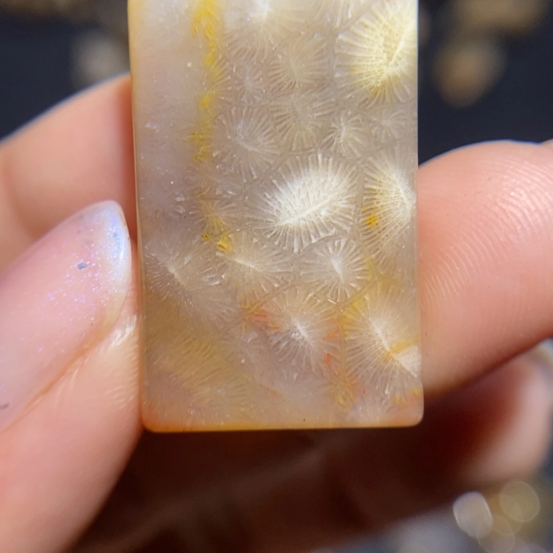 【闪购商品】未镶嵌珊瑚玉硅化玉