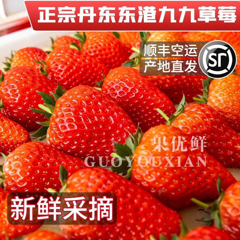 丹东草莓丹东99草莓产地直发顺丰包邮水果草莓孕妇老人小孩吃