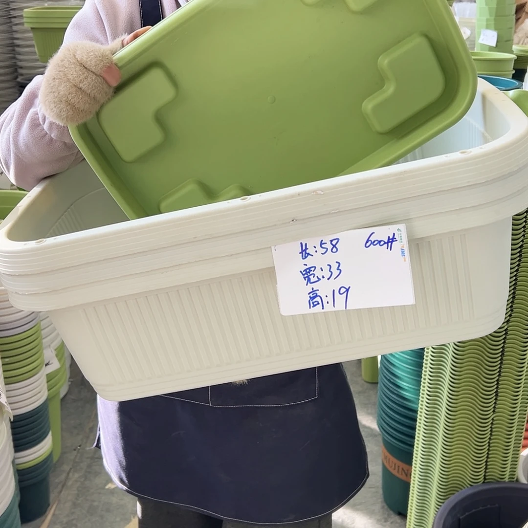 菜盆600#米白色3个（含托盘）