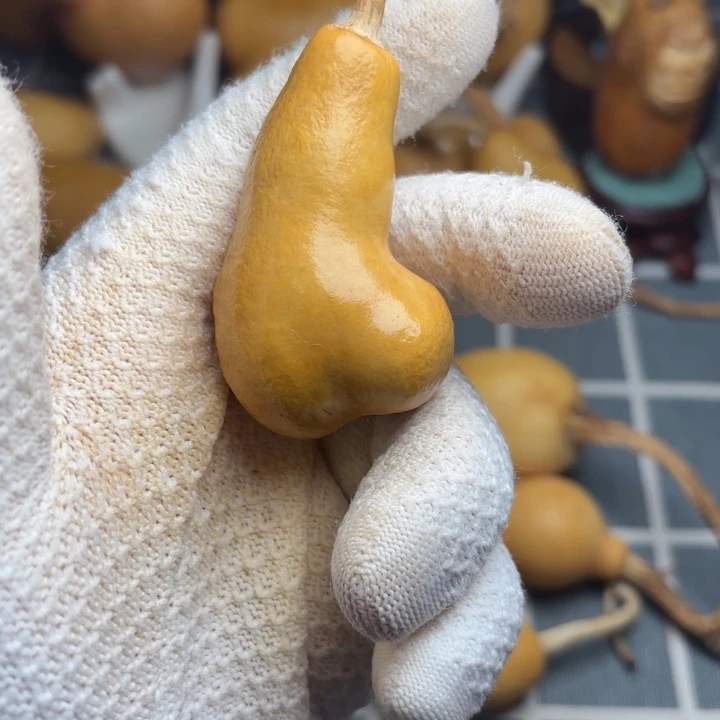 赚***猫霉点666666666666666