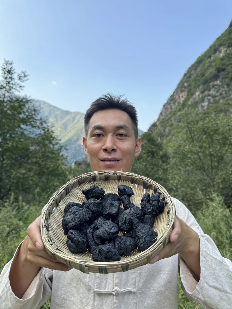 地黄 蒸过的 熟地