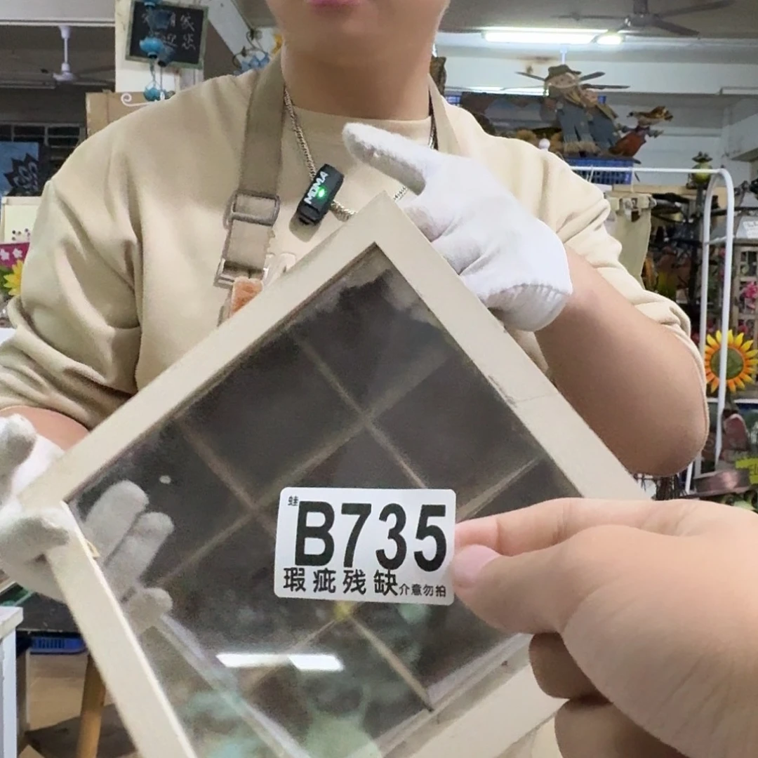 核桃木/黑胡桃（胡桃木）