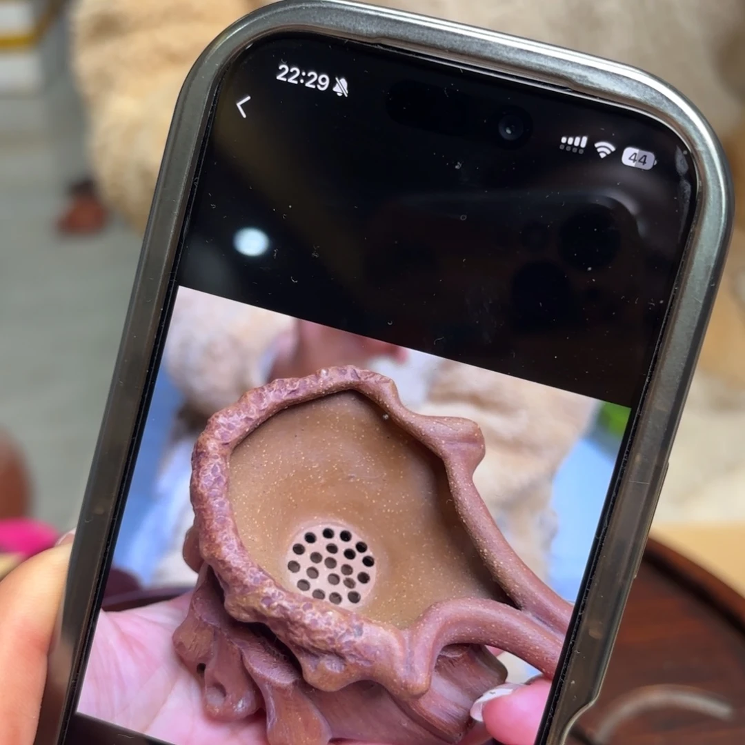 鱼***刺紫砂茶宠紫砂手工壶