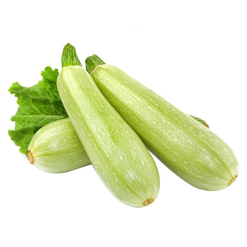 【惠】新鲜 茭瓜（西葫芦） 约450-500g