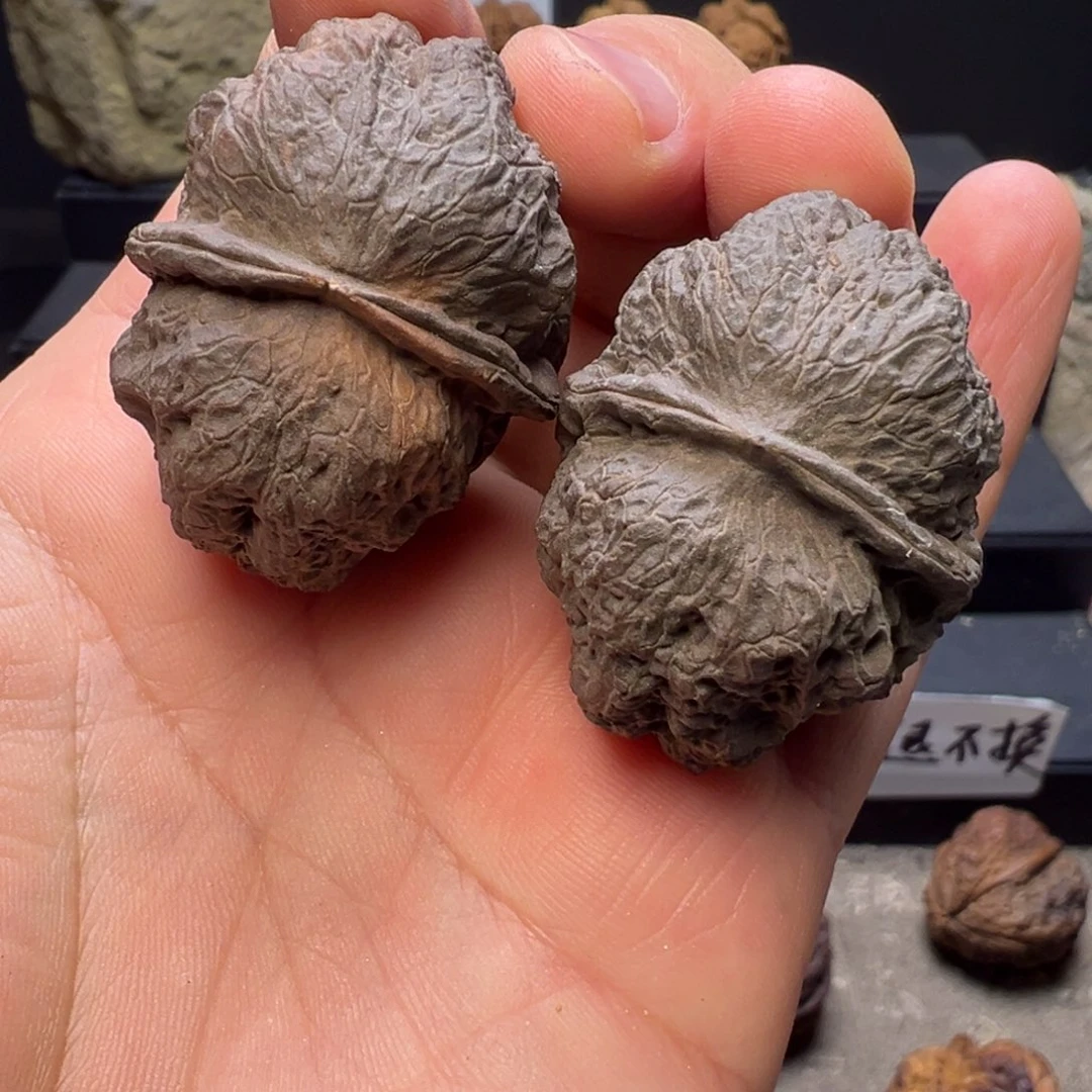 吊坠文玩核桃七彩蝴蝶蟾40mm