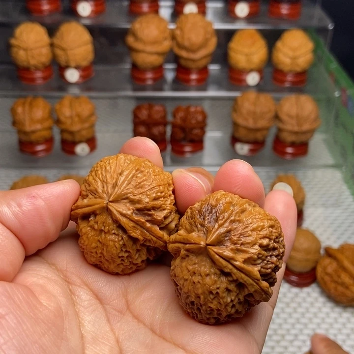 文玩核桃把件七彩梅花三棱45