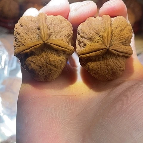 把件文玩核桃宝相三棱带彩02号39