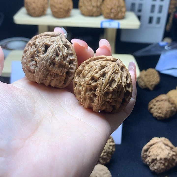 宁***鱼白狮子1111111111111