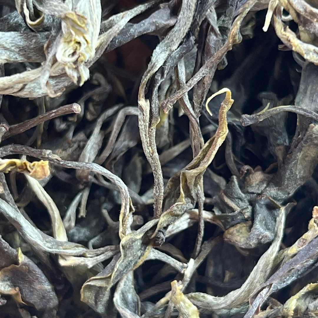 千家道明生普（千岁古树茶）散茶100克袋装