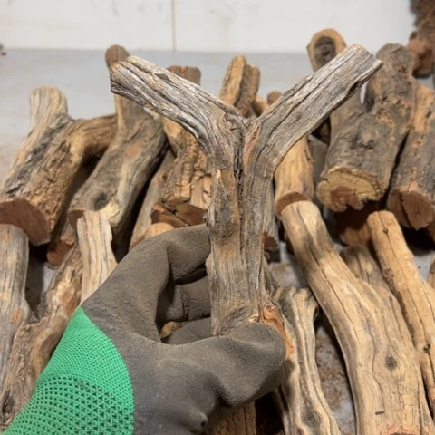 大果紫檀（缅甸花梨）N*