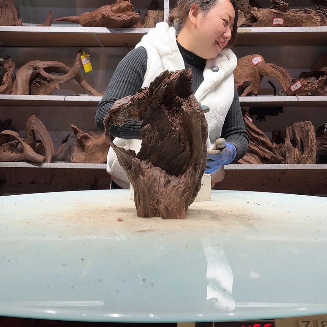 倍诸沉木不包损必褪色P***P0469