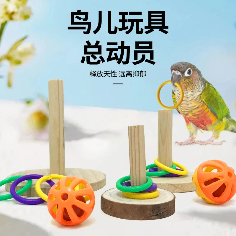 鸟用品鹦鹉套圈互动玩具牡丹虎皮玄凤训练道具解闷啃咬玩具铃铛球
