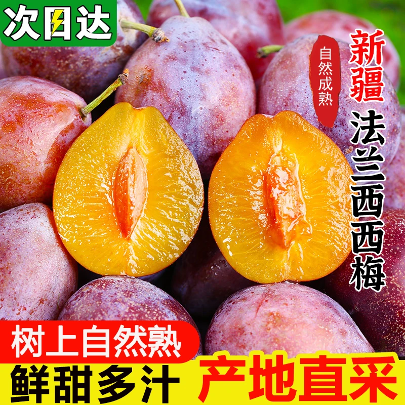 现货明日达【基地直采】TY新疆西梅新鲜水果喀什法兰西西梅应季水果0.4-3斤