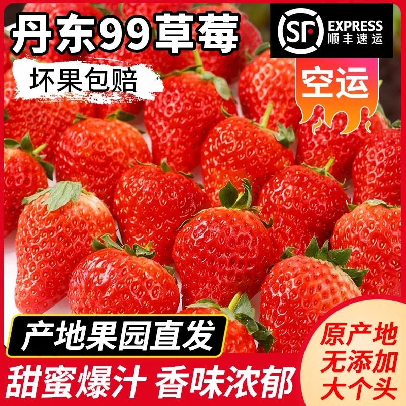 丹东99大草莓新鲜水果应季红颜草莓九九牛奶奶油大甜草莓久久礼盒