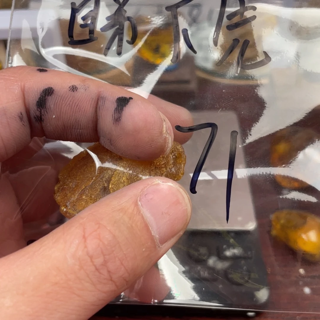 羽毛睇*先琥珀展示盒系列产品