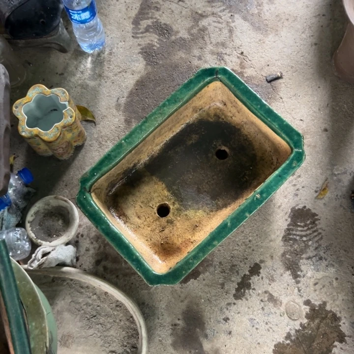 伯*这个时候就可以在这里？