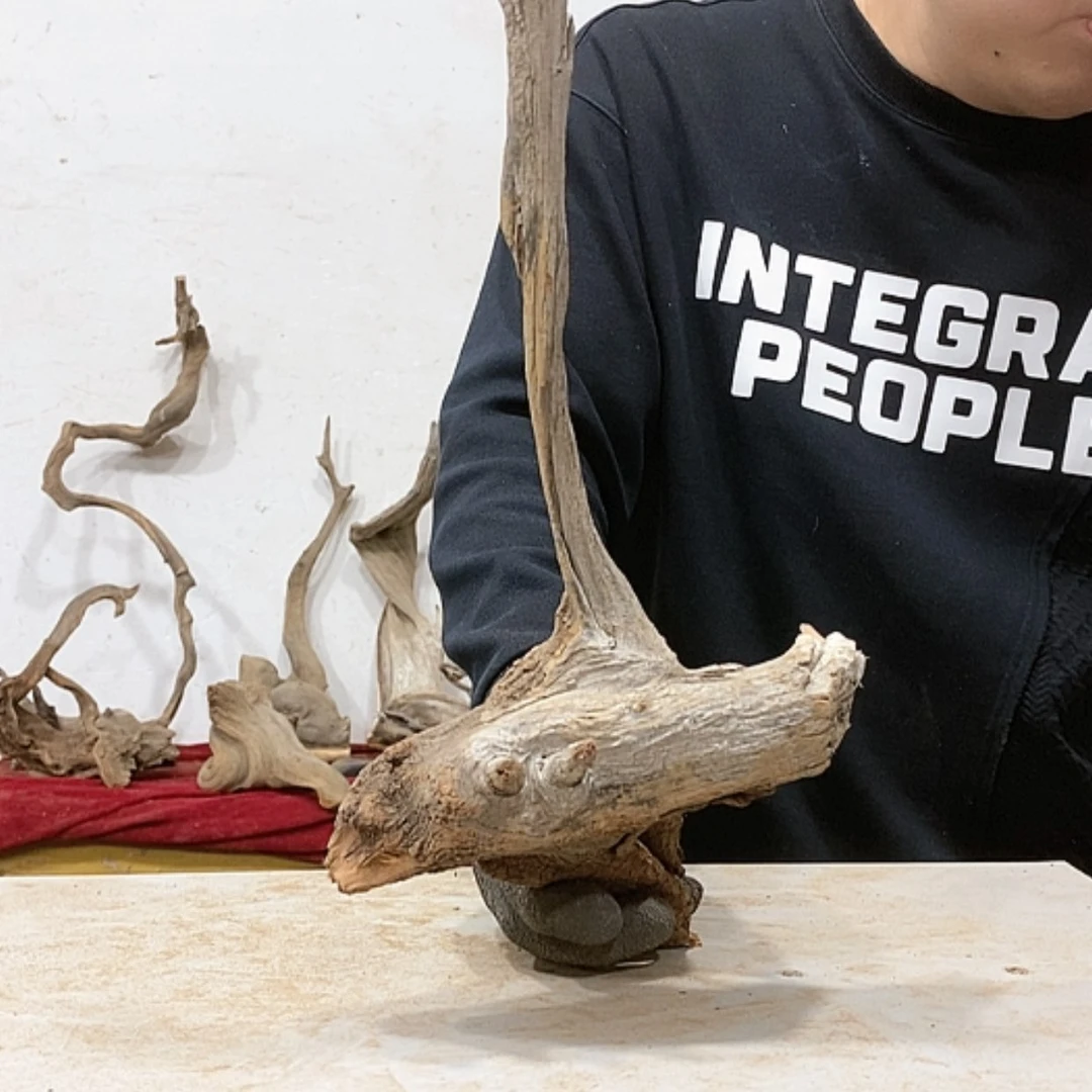 【闪购商品】柏木?****?我们都是好孩子