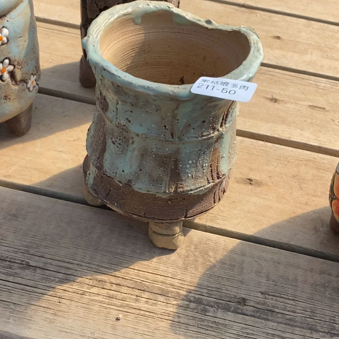 谁****钱50号多肉盆一个呀