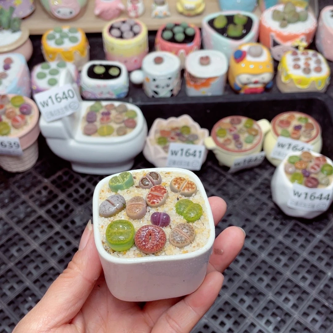 w1645 -零下地区拍保温箱-15支持寄养