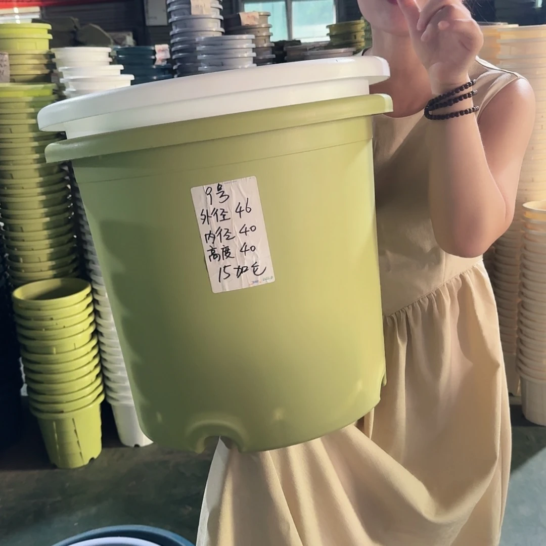 微瑕9#无拖果绿4个口径46