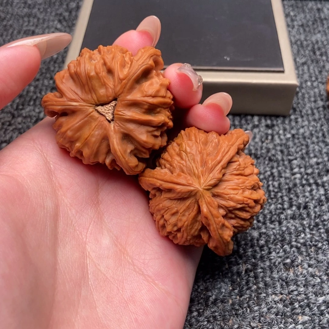 北***者木质类白狮子正奔