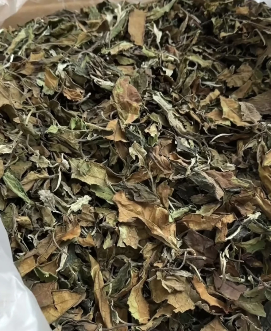 2025年春·高货冰岛糯伍古树白茶·100g/袋，带同款