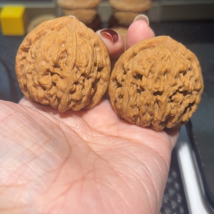 文玩核桃把件43蚂蚁王