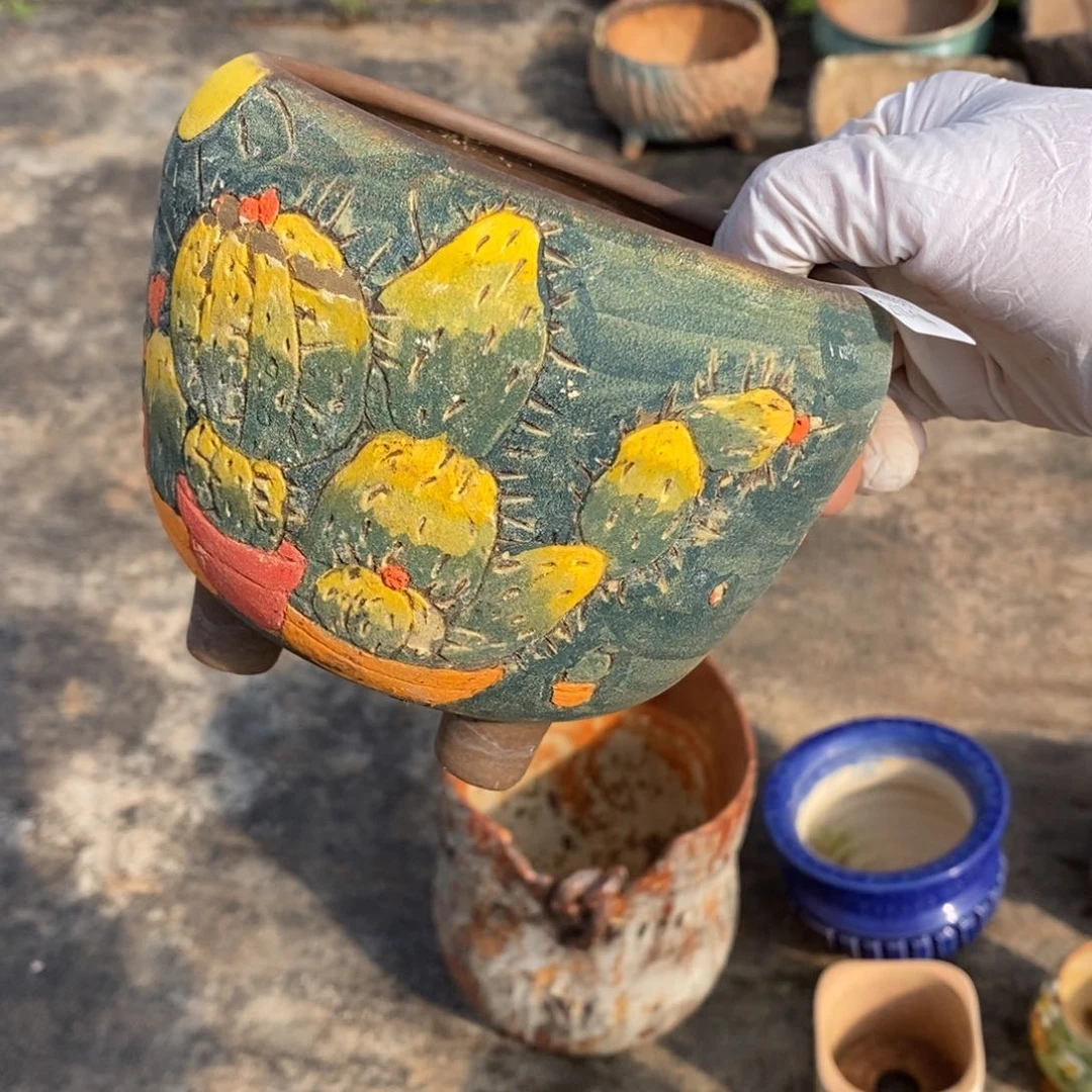 红陶云14号多肉盆一个呀