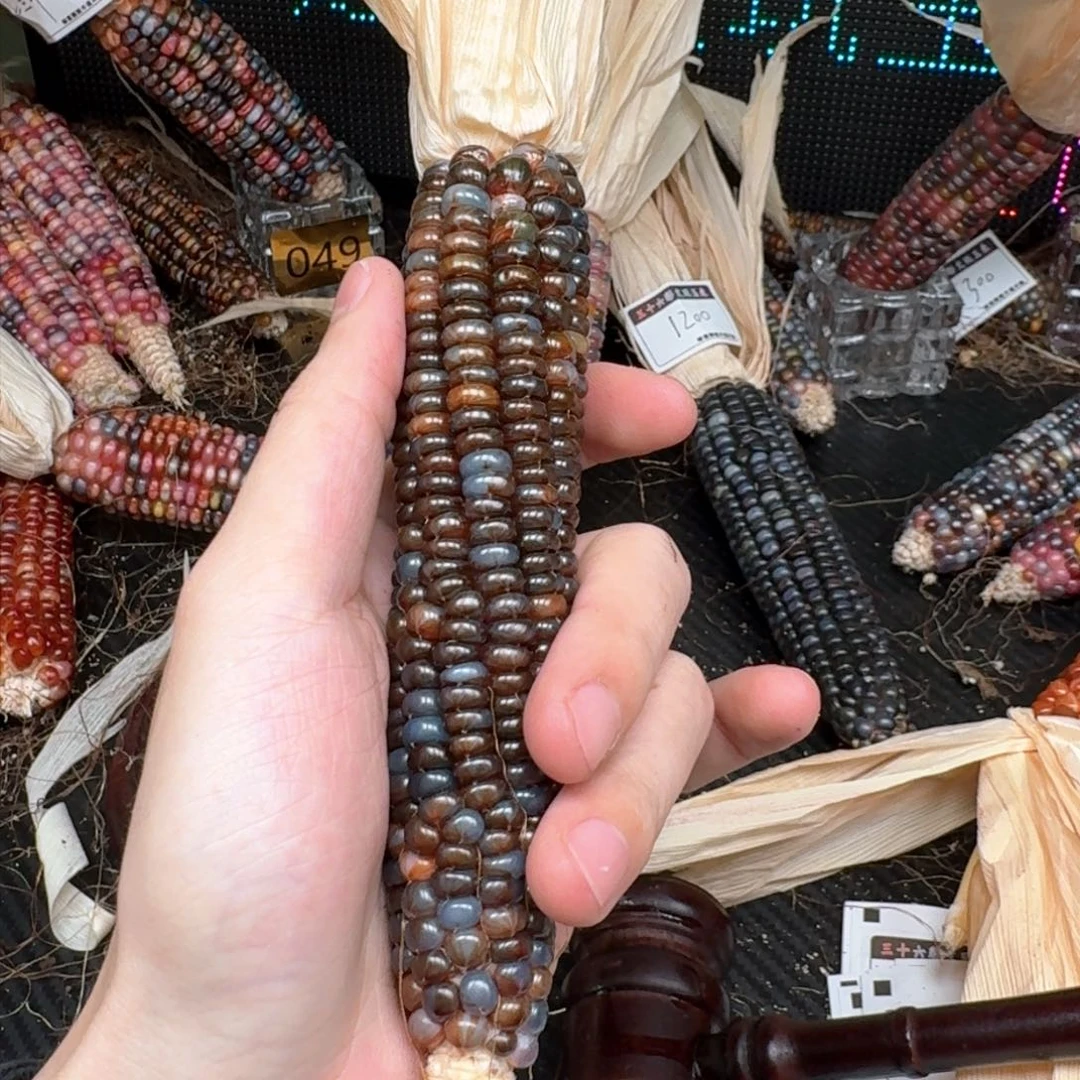 柏香籽/百香籽吊坠辰*辉