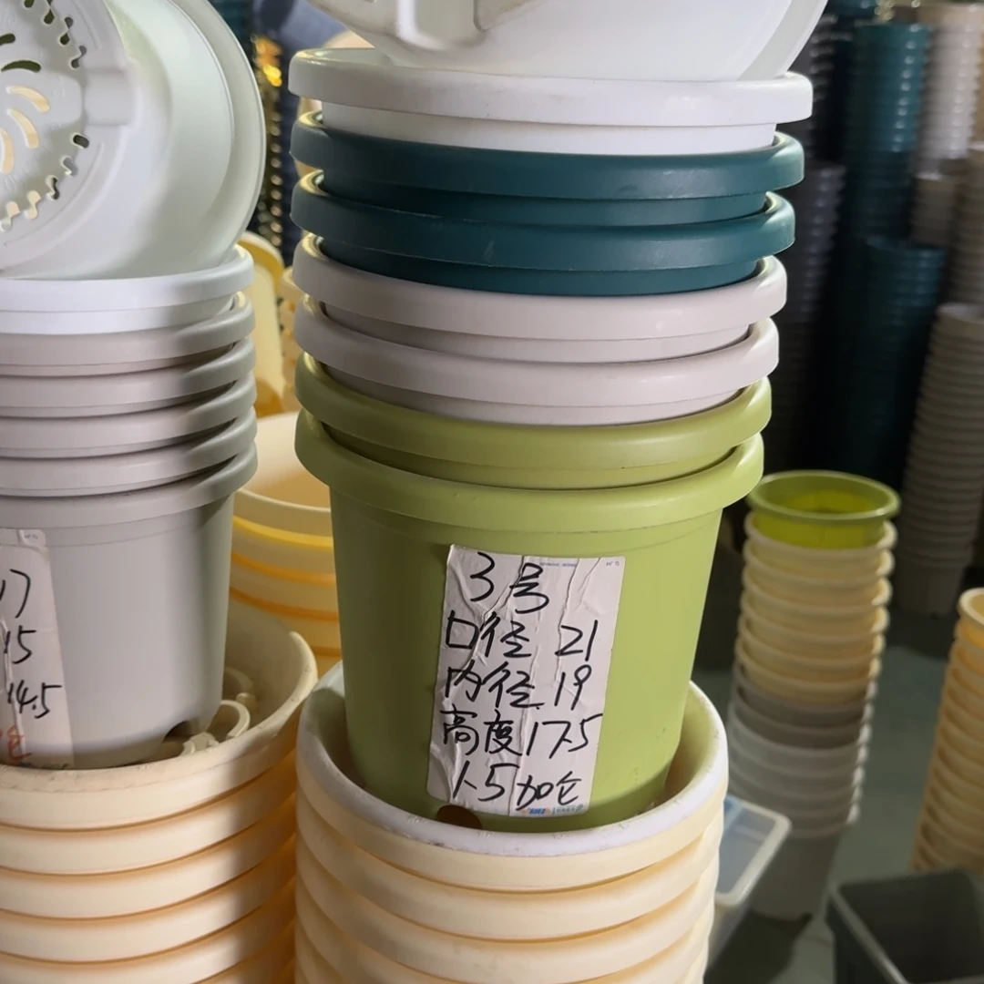 四季3#口径21无拖果绿10个