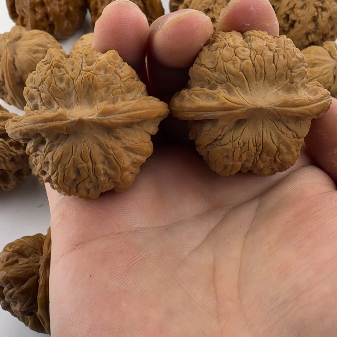 s级全品41尺血麒麟