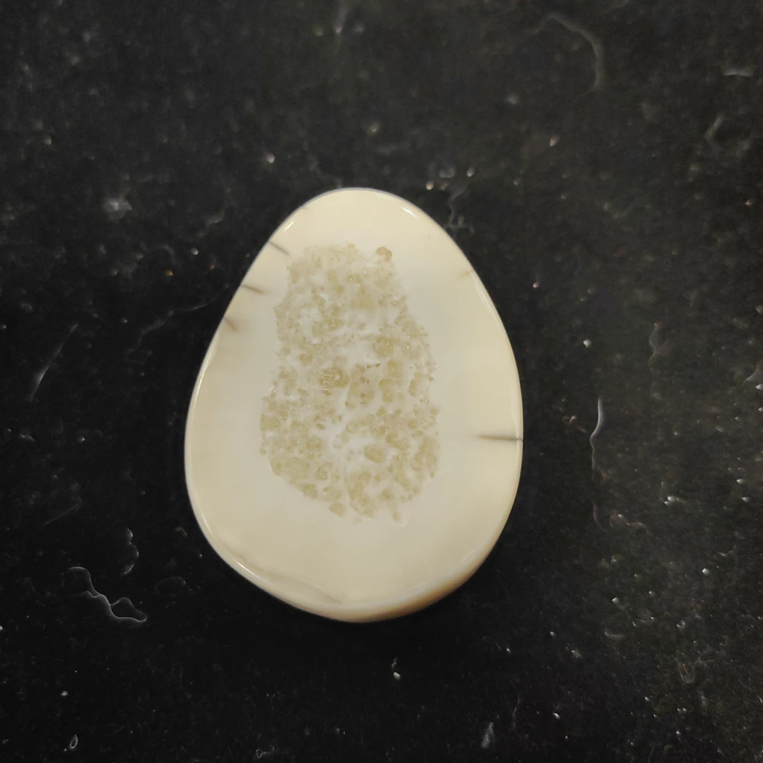 猛犸猛犸虬饼子WT439