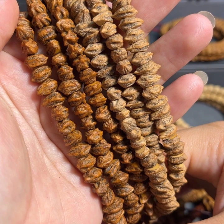柏香籽/百香籽吊坠白芽鬼肠