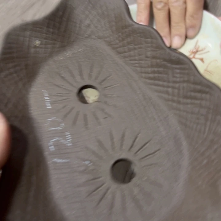 淡**居新亿阁清货价无售后谨慎参拍