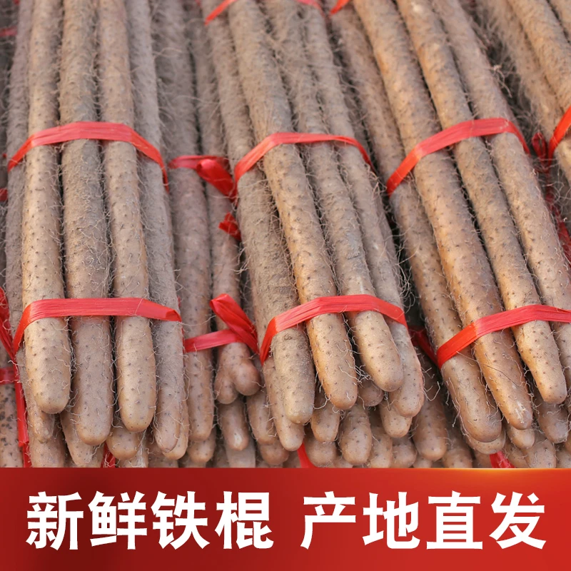 新鲜山药产地直发河北铁棍山药软糯香甜3斤带土净重