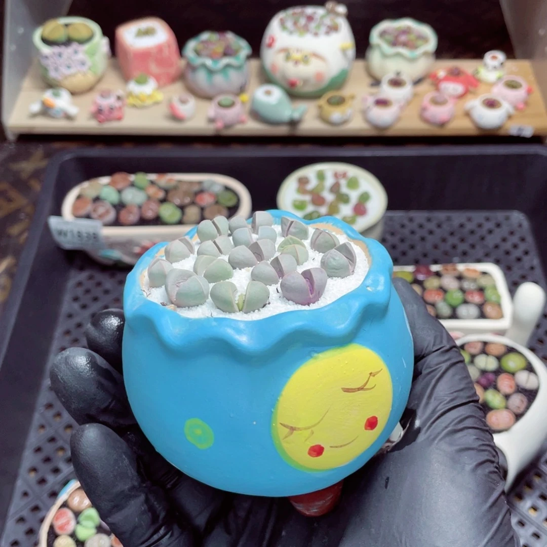 夜间零下地区拍保温箱w1846