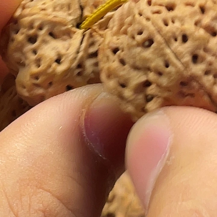 金刚菩提手串오*화23梅花