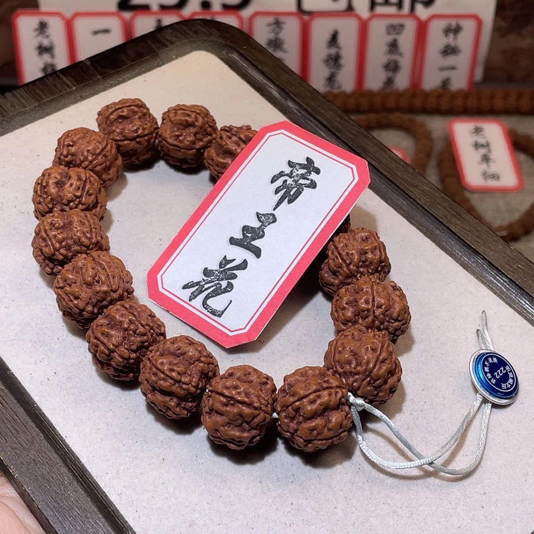 菩提籽类222帝王花