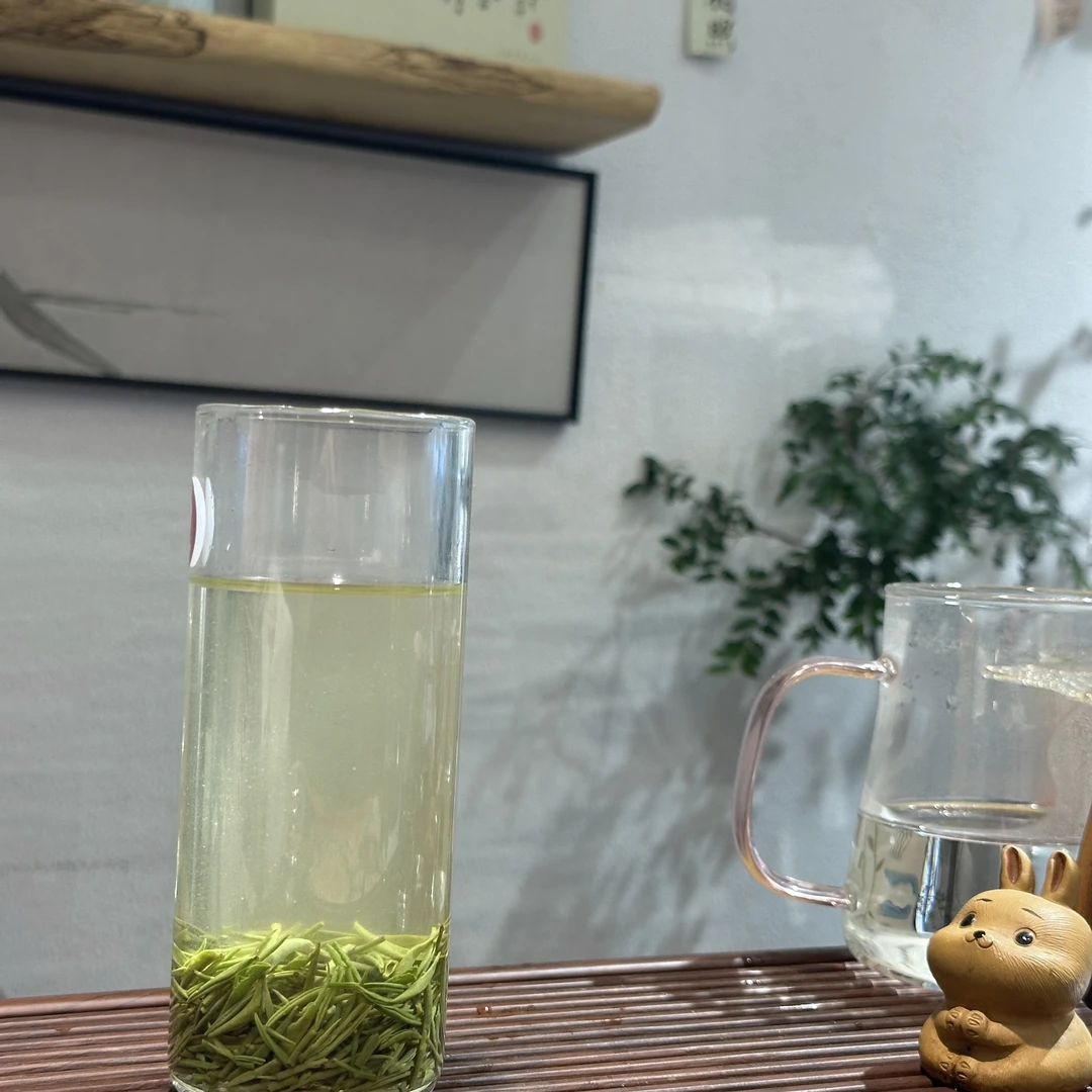 【2025秋白露】信阳毛尖栗香味足，清香淡雅，车云山高山茶