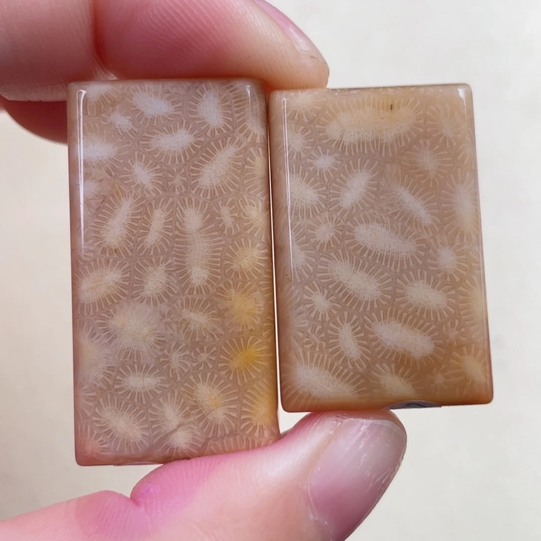 【闪购商品】未镶嵌手串硅化玉