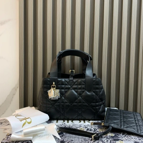 95新/迪奥/市场价32000/包包/250215XZ0015